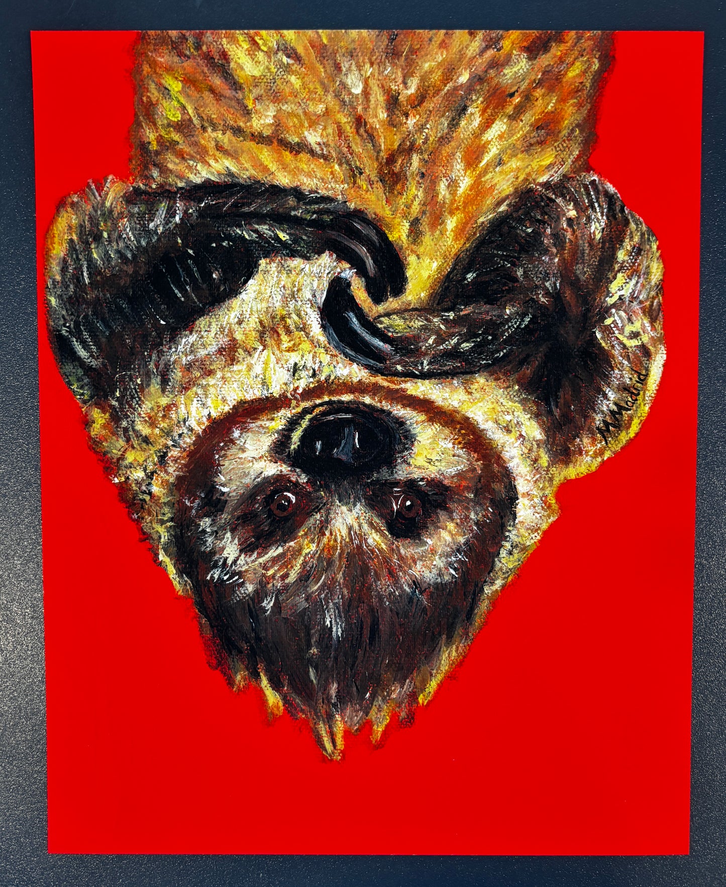 Upside Down Sloth (Fine Art Print)
