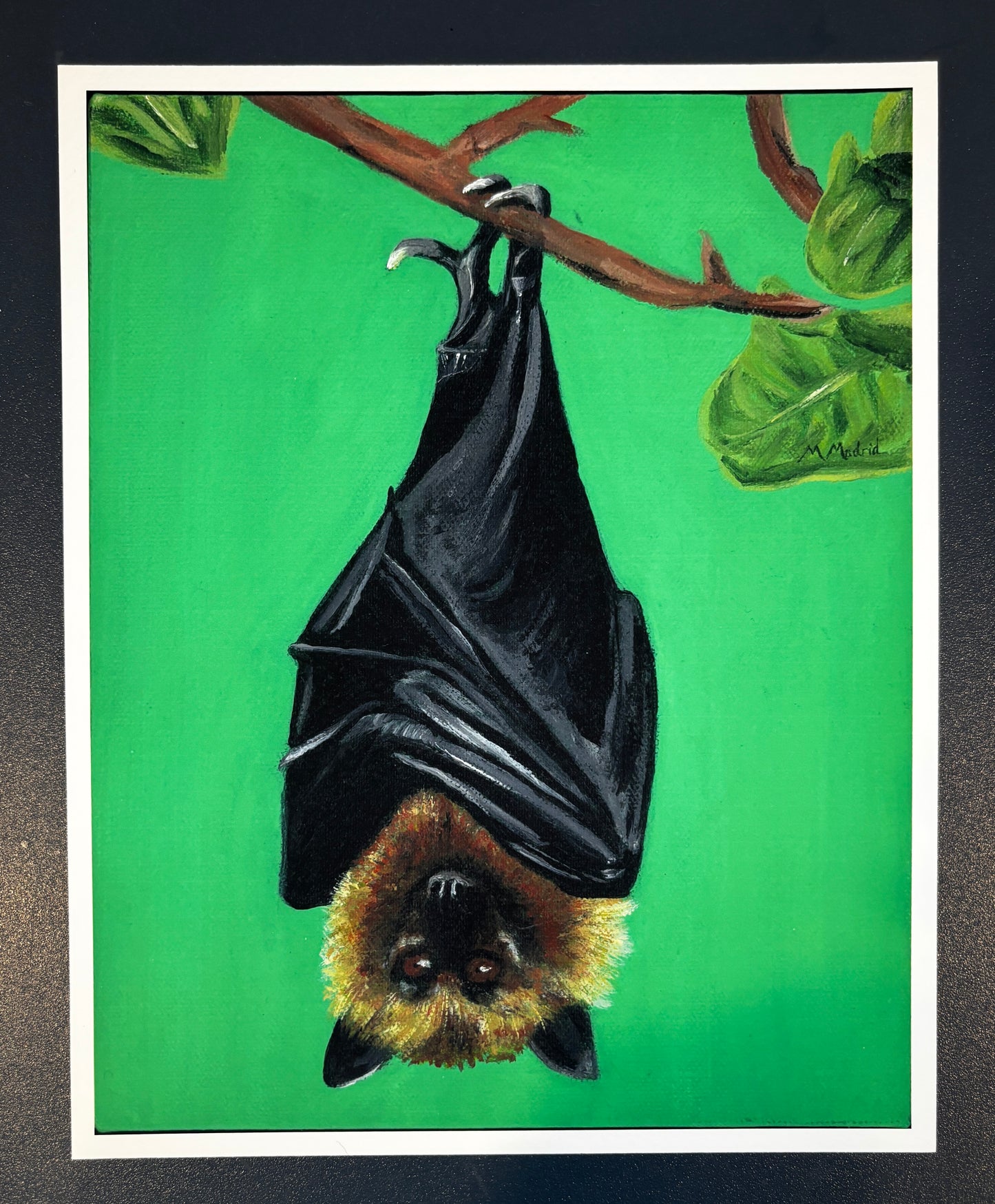 Hanging Bat print (Fine Art Print)