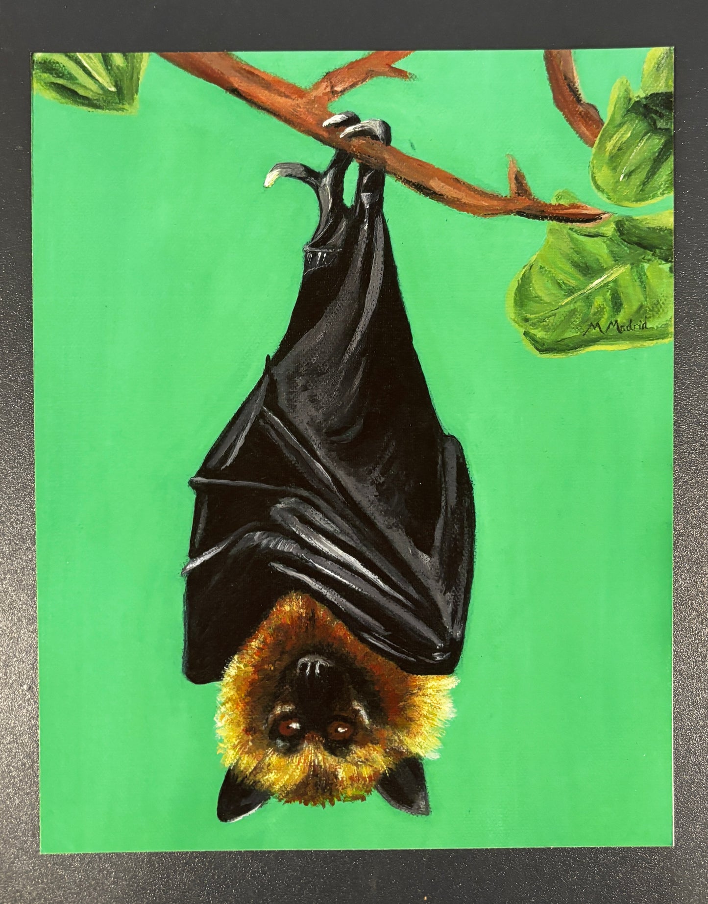 Hanging Bat print (Fine Art Print)