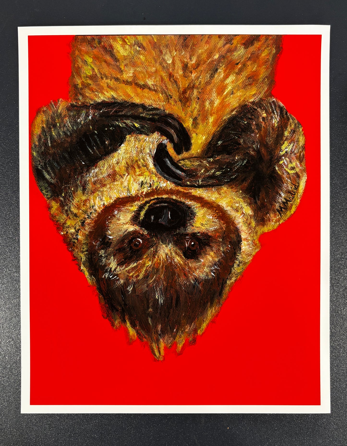 Upside Down Sloth (Fine Art Print)